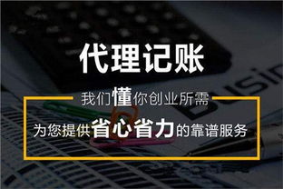 浦口区官方代理记账哪家专业 鑫峰供