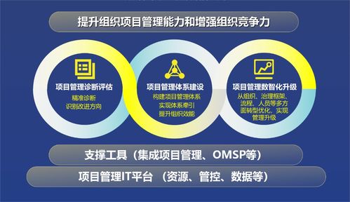 828 b2b 企业节 中软国际日 数智驱动,智胜未来 企业数智化转型实践深度探讨